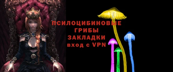 кокс Елизово