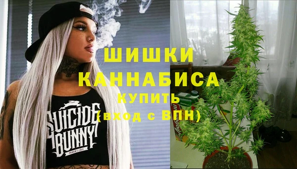 прущие крисы Новодвинск