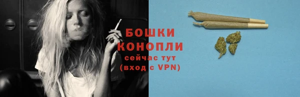 мяу мяу мука Ельня