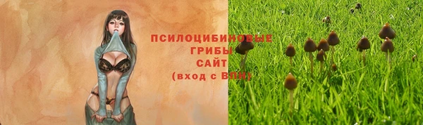 твердый Елабуга