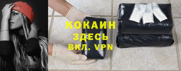 кокс Елизово