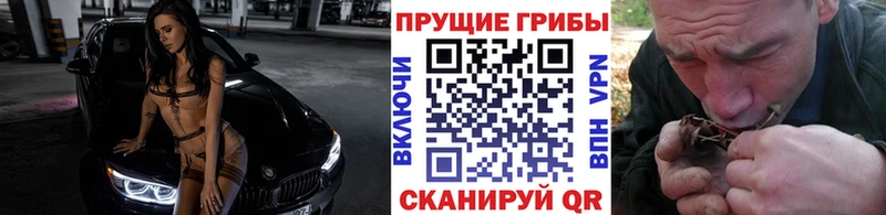 Псилоцибиновые грибы мицелий Питкяранта
